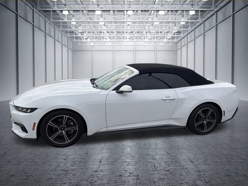 Used 2024 Ford Mustang Convertible RWD image 2