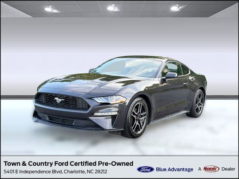 Certified 2023 Ford Mustang Premium RWD image 1