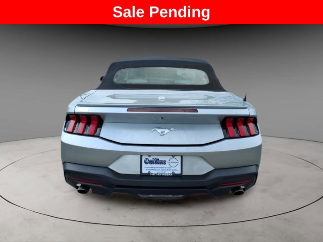 Used 2024 Ford Mustang Convertible RWD image 6