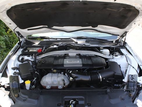 Used 2019 Ford Mustang GT Premium w/ Equipment Group 401A RWD image 20