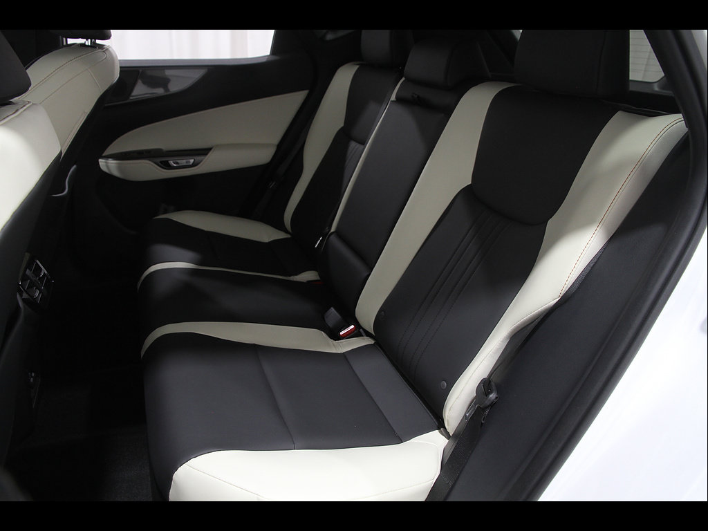Certified 2024 Lexus NX 350h AWD w/ Cold Area Package image 19