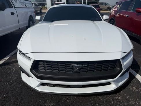 Used 2024 Ford Mustang Premium image 13