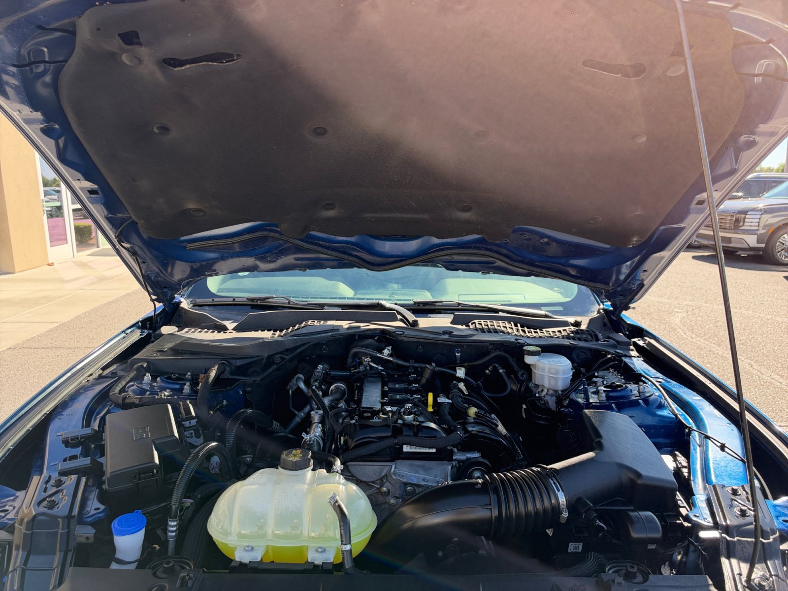 Used 2022 Ford Mustang Coupe w/ Equipment Group 101A RWD image 22