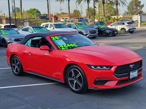 Used 2024 Ford Mustang Premium image 6