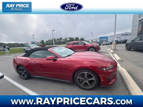 Used 2024 Ford Mustang Premium RWD image 1