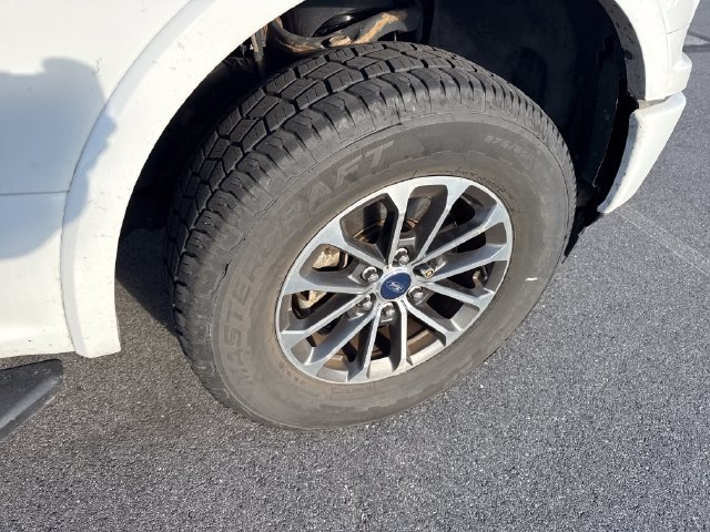 Used 2019 Ford F150 XLT w/ Equipment Group 302A Luxury AWD/4WD image 11