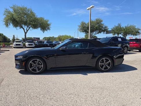 Used 2024 Ford Mustang Premium RWD image 5