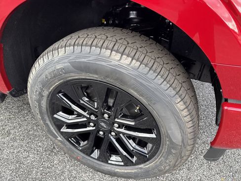 New 2025 Ford F150 XLT w/ Equipment Group 302A MID image 13