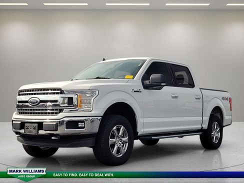 Used 2019 Ford F150 XLT w/ Equipment Group 302A Luxury AWD/4WD image 8