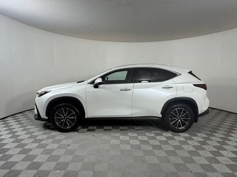 Used 2024 Lexus NX 350h AWD w/ Cold Area Package image 4