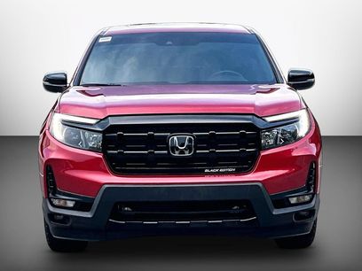 Used 2025 Honda Ridgeline Black Edition