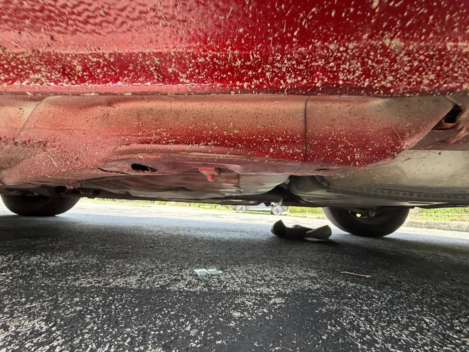 Used 2002 Ford Escort Sedan FWD image 27