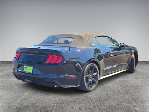 Used 2019 Ford Mustang GT Premium w/ Equipment Group 401A RWD image 10