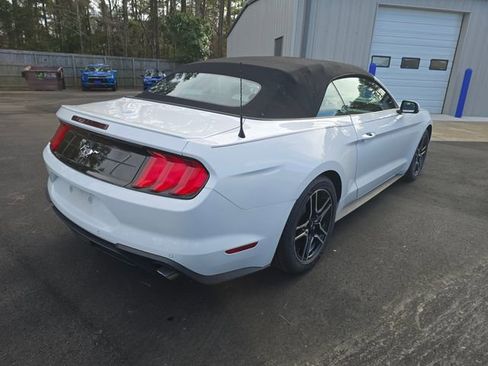 Used 2019 Ford Mustang Premium image 5