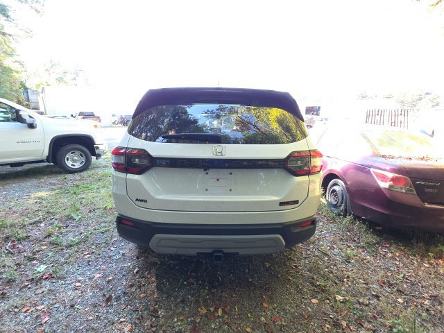 Used 2025 Honda Pilot TrailSport image 5