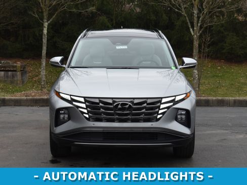 Used 2023 Hyundai Tucson Limited image 2
