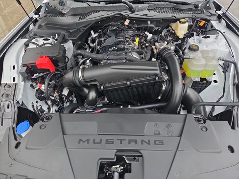 New 2026 Ford Mustang Coupe image 19