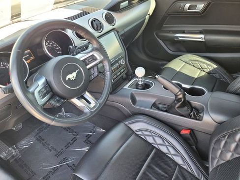Certified 2023 Ford Mustang GT w/ Mustang Nite Pony Package RWD image 17