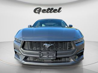 Used 2024 Ford Mustang Premium RWD video 2