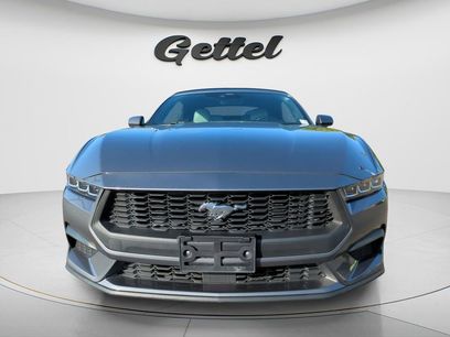 Used 2024 Ford Mustang Premium