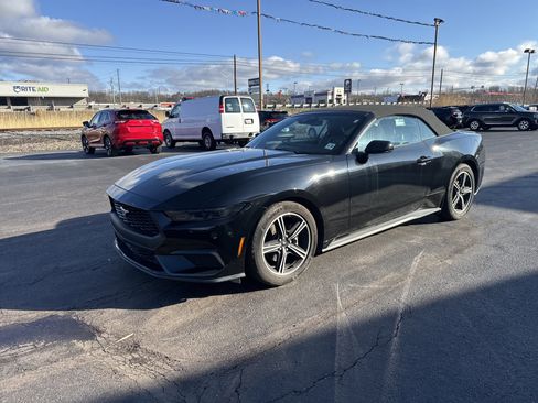 Used 2025 Ford Mustang Premium image 8