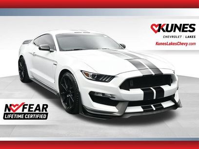 Used 2019 Ford Mustang Shelby GT350 w/ Technology Package