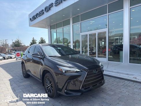 Used 2024 Lexus NX 350 AWD image 1