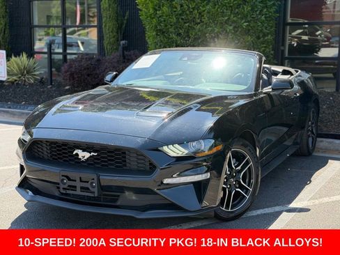 Used 2023 Ford Mustang Premium RWD image 1