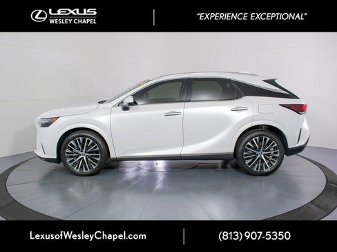 Used 2025 Lexus RX 350 Premium Plus w/ Convenience Package FWD image 10