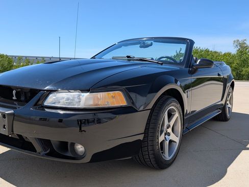 Used 1999 Ford Mustang Cobra RWD image 3