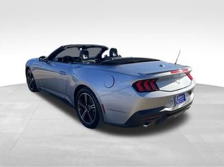 Used 2024 Ford Mustang Premium RWD video 4