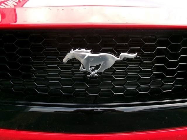 Used 2024 Ford Mustang GT w/ GT Performance Package RWD image 28
