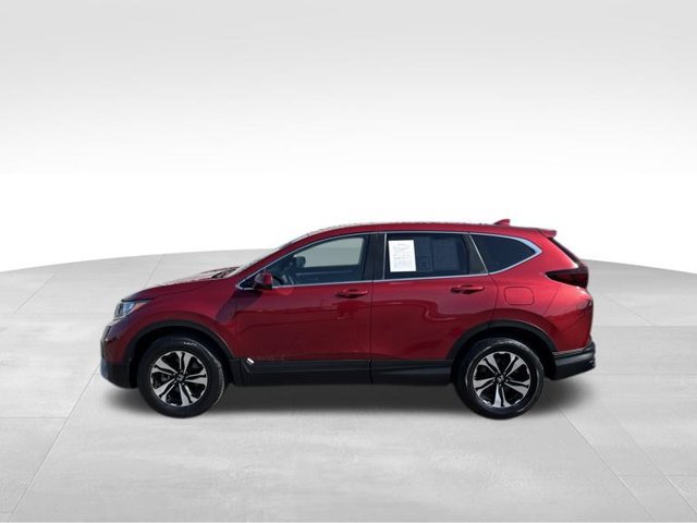 Certified 2021 Honda CR-V Special Edition image 5