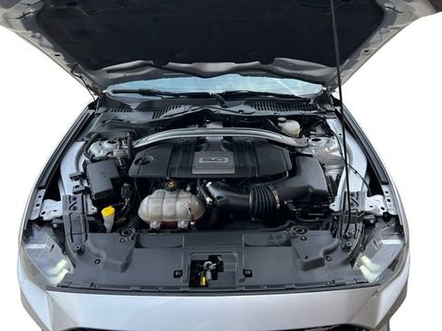 Used 2019 Ford Mustang GT Premium w/ Equipment Group 401A image 16