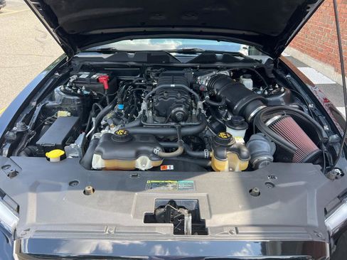 Used 2010 Ford Mustang Shelby GT500 image 19