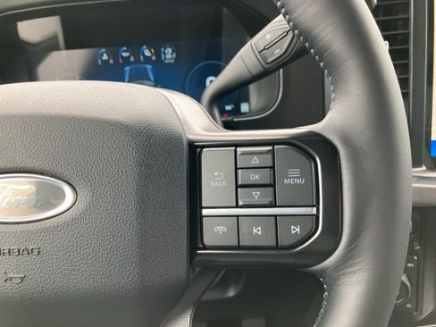 New 2025 Ford F250 Platinum image 24