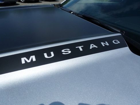 Used 2016 Ford Mustang Coupe w/ Equipment Group 051A RWD image 4