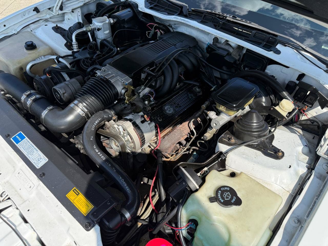 Used 1991 Pontiac Firebird Trans Am RWD image 12