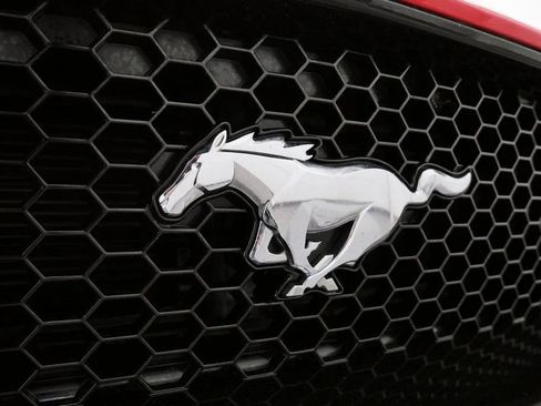 Used 2019 Ford Mustang GT Premium w/ Equipment Group 401A RWD image 9