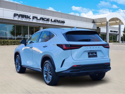 New 2026 Lexus NX 350h 350h Luxury image 4