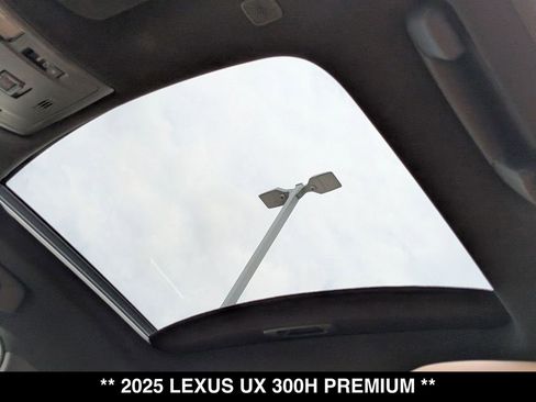 Used 2025 Lexus UX 300h AWD w/ Cold Area Package image 4
