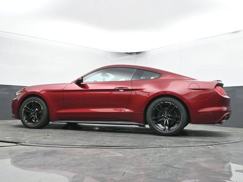 Used 2017 Ford Mustang Coupe RWD image 36