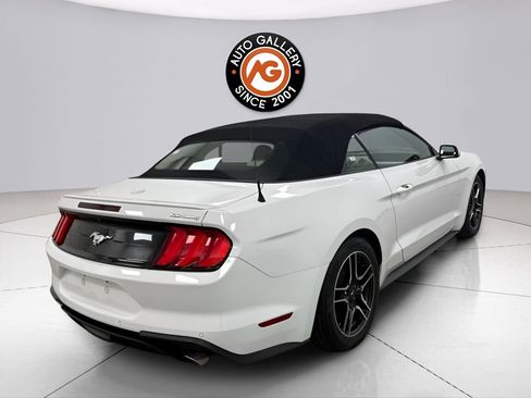 Used 2022 Ford Mustang Premium image 7