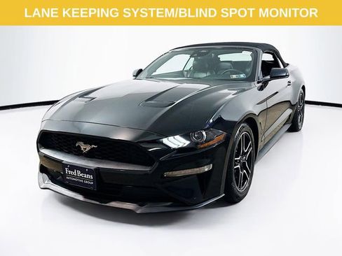 Certified 2022 Ford Mustang Premium image 3