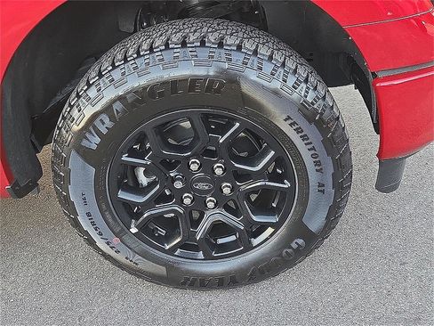 New 2025 Ford F150 XLT w/ Equipment Group 302A MID image 7