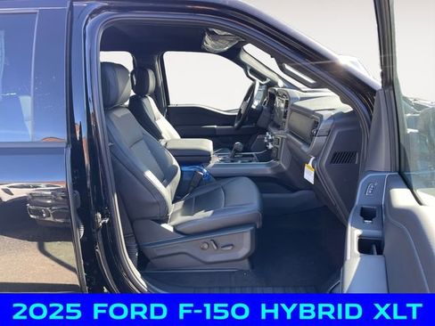New 2025 Ford F150 XLT w/ Equipment Group 303A High image 15