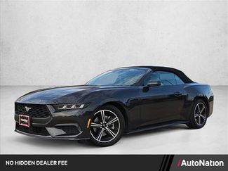 Used 2024 Ford Mustang Premium RWD video 1