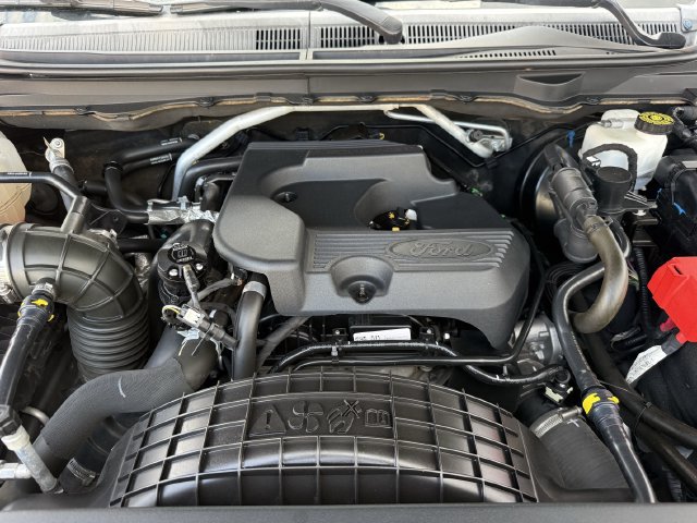 Used 2019 Ford Ranger XLT w/ Equipment Group 301A Mid RWD image 32