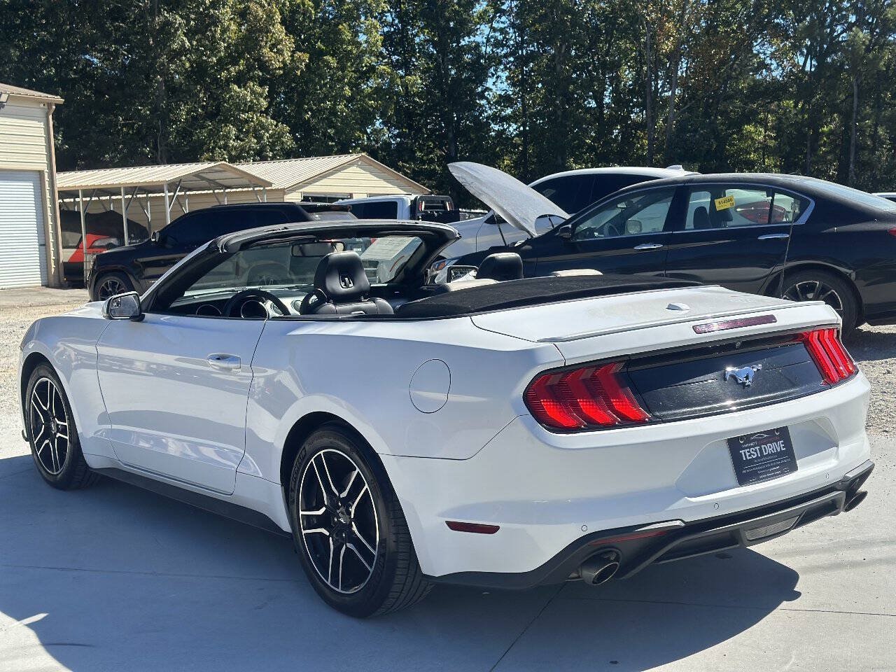 Used 2018 Ford Mustang Premium RWD image 5