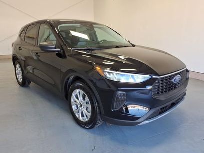 Used 2025 Ford Escape Active w/ Tech Pack #1